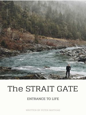 cover image of The Strait Gate
